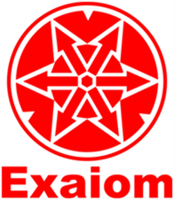 logo exaiom